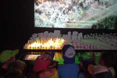 IMG-20250627-WA0020